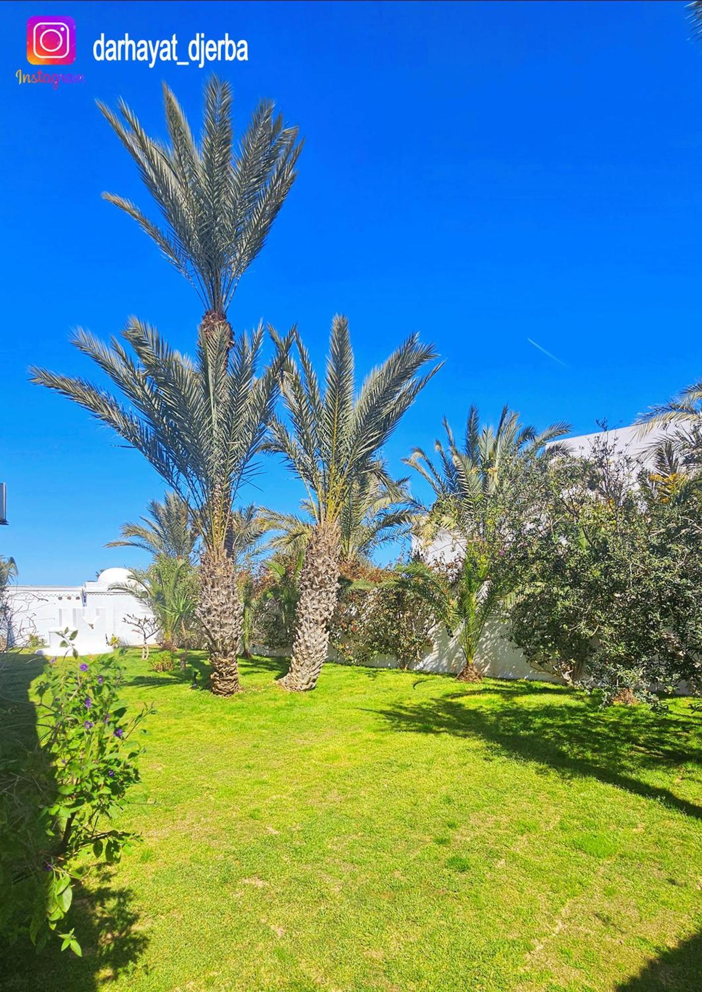 Dar Hayat Villa Triffa Exterior foto